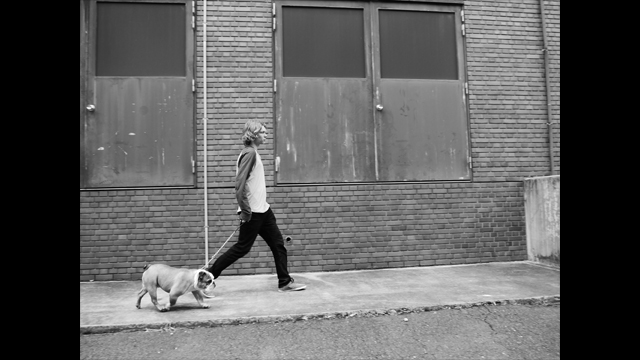 Get Inspired - Lumix Digital Camera: DMC-LF1